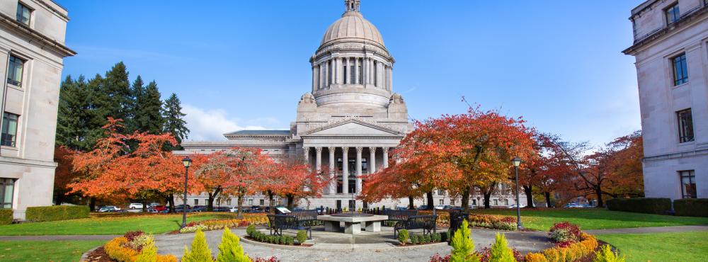 The Washington State Capitol Building framed by fall colors on the trees.